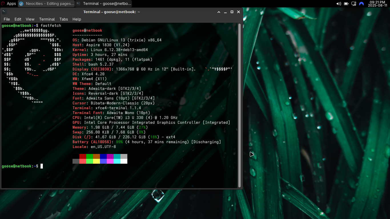 screenshot of xfce desktop, with foliage wallpaper and computer specs