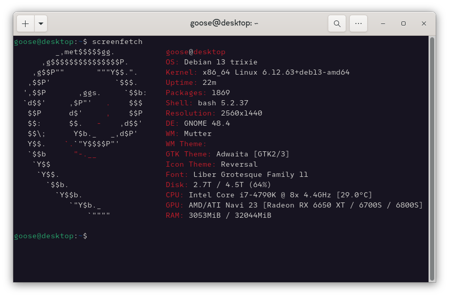 screenshot of a linux terminal displaying key system information