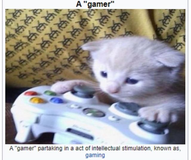 mockup of a wikipedia article, zoomed in on picture and caption. picture features a kitten sitting with its paws on a controller. Caption reads a gamer partaking in an act of intellectual stimulation, known as gaming