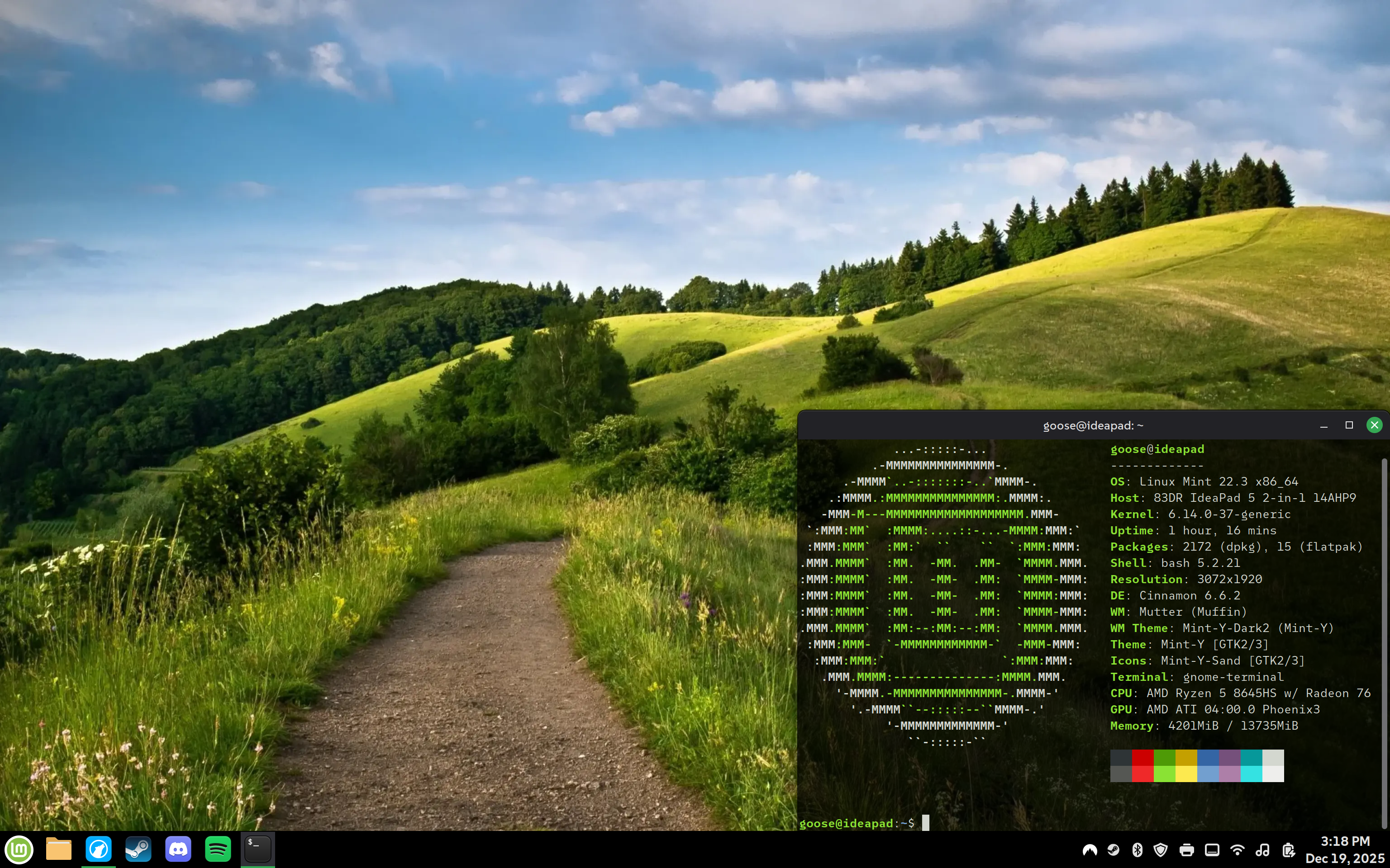 screenshot of Linux Mint desktop, with taskbar at bottom, semitransparent terminal window displaying system information at bottom right, and a grassy, hilly trail as the wallpaper.