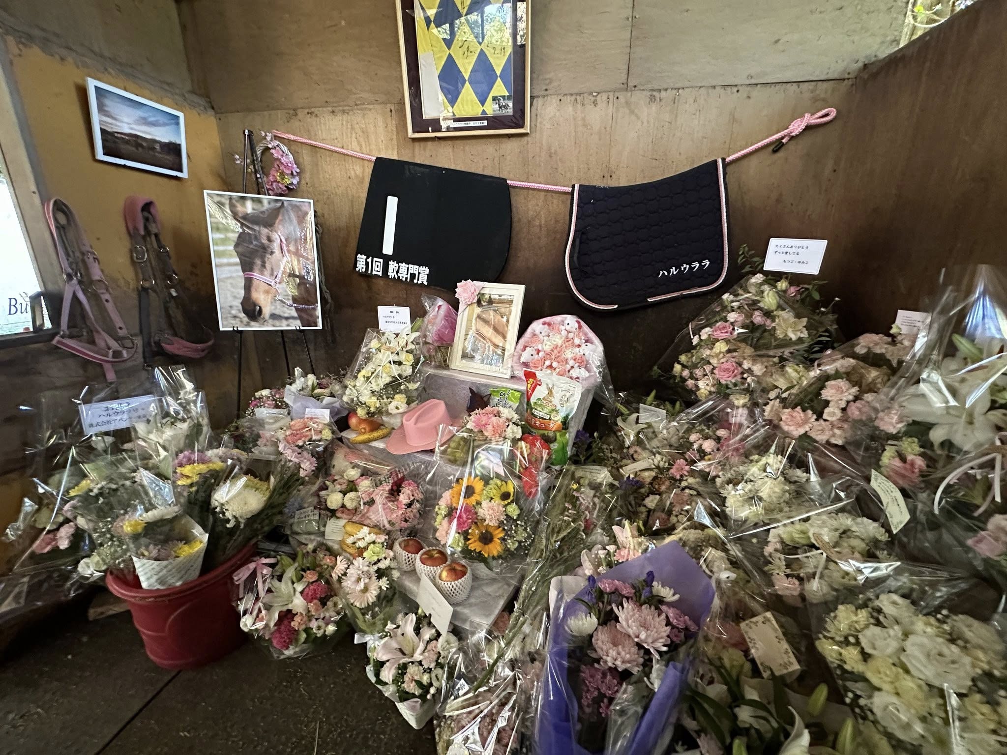 photo of the interior of the stable that race horse Haru Urara lived in, with a photo of her alongside her saddle blankets and other items in background. Foreground is filled with caring messages and bouquets of flowers, a pink cowboy hat, fruits, and a tiny Rice Shower stuffie
